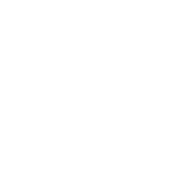 DevFirstPro logo